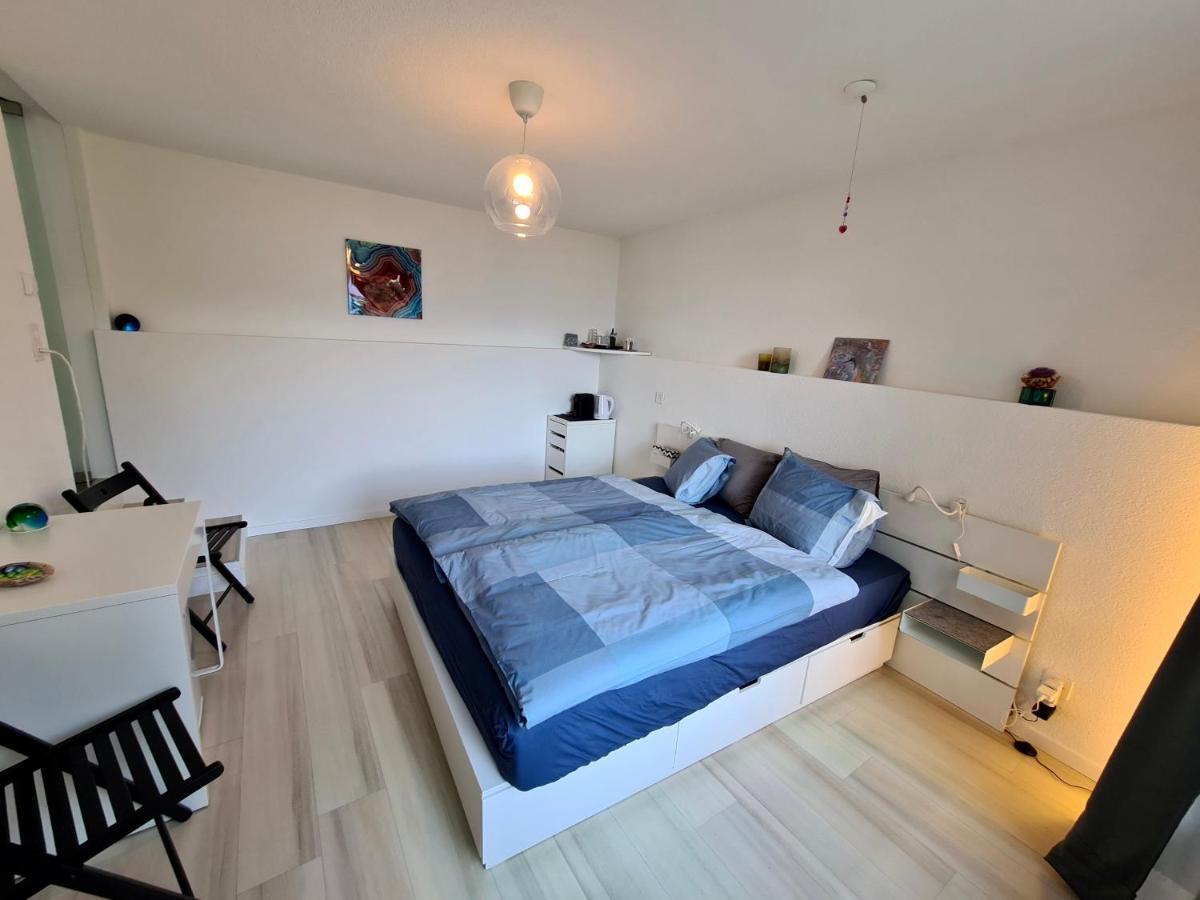 Camera Con Bagno Privato E Giardino Brione sopra Minusio Экстерьер фото